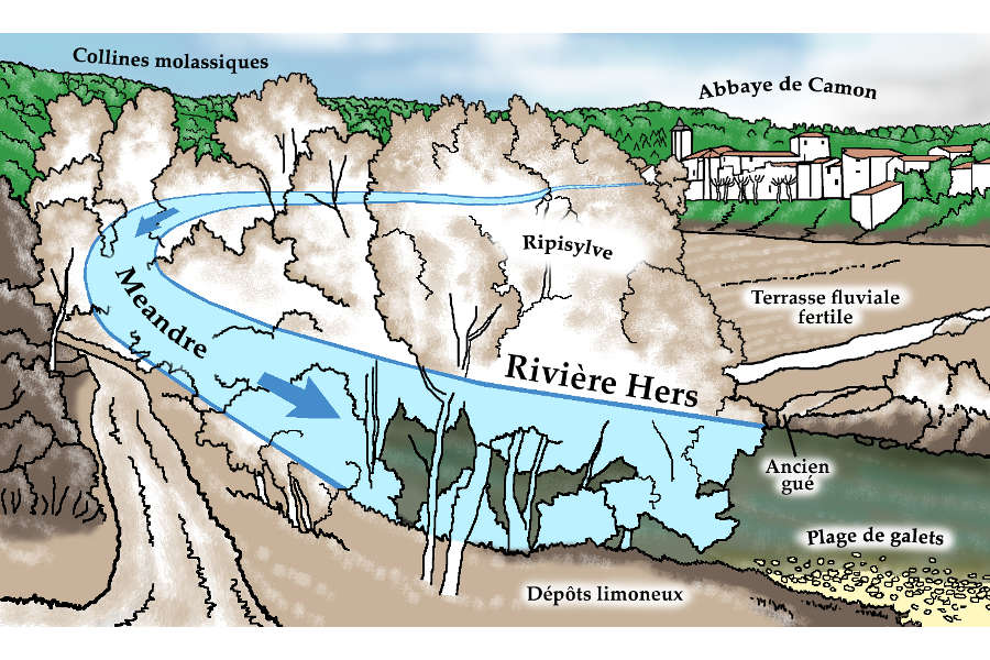 au coeur d'un mandre