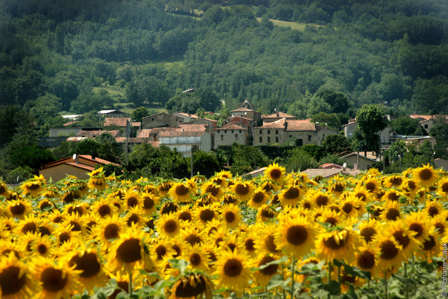 l'histoire du village