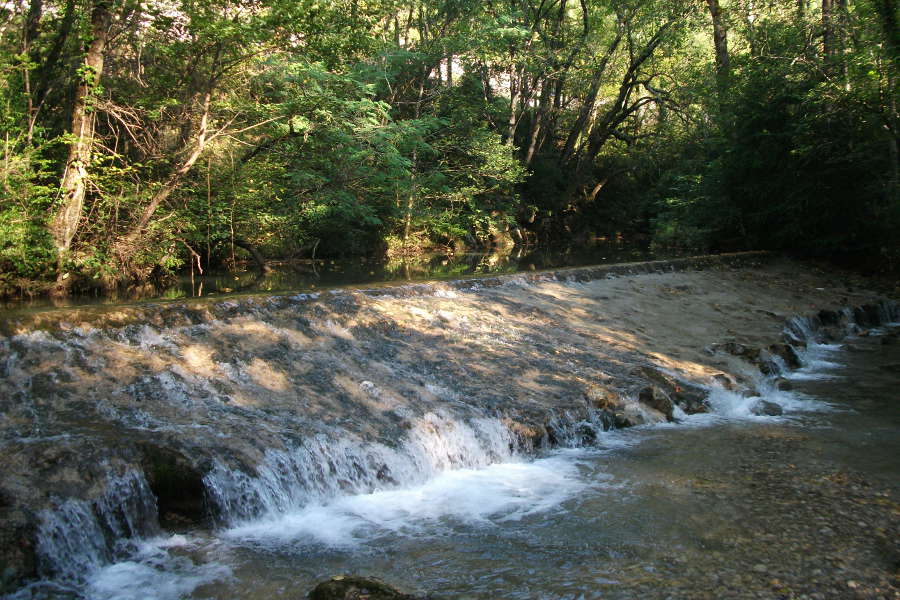 chausse du carla de roquefort