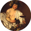 L'environnement et le vin