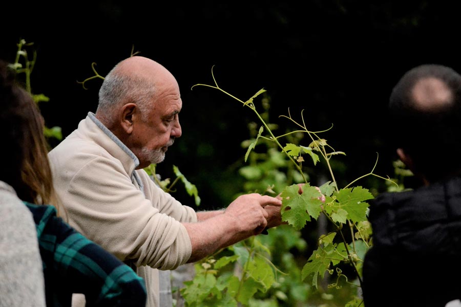 Le vin dans lhistoire de lart, tout un tableau !
