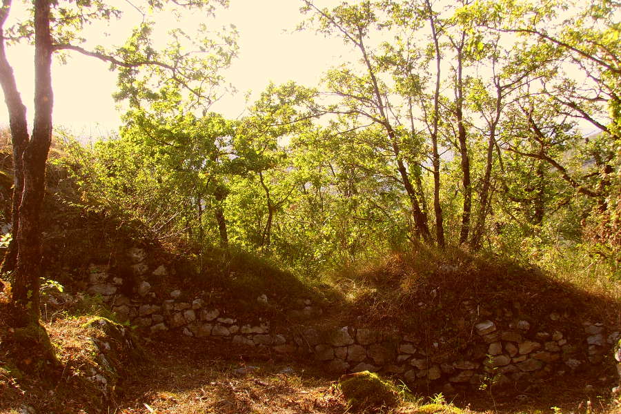 Vestiges du Castrum de Preille