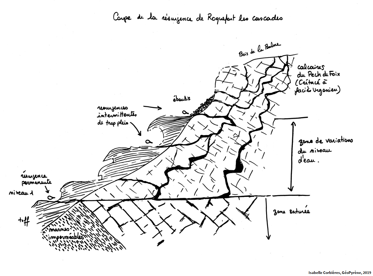 Coupe de la résurgence de Roquefort-les-Cascades