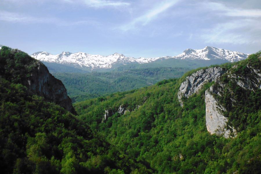 Les gorges de Preille