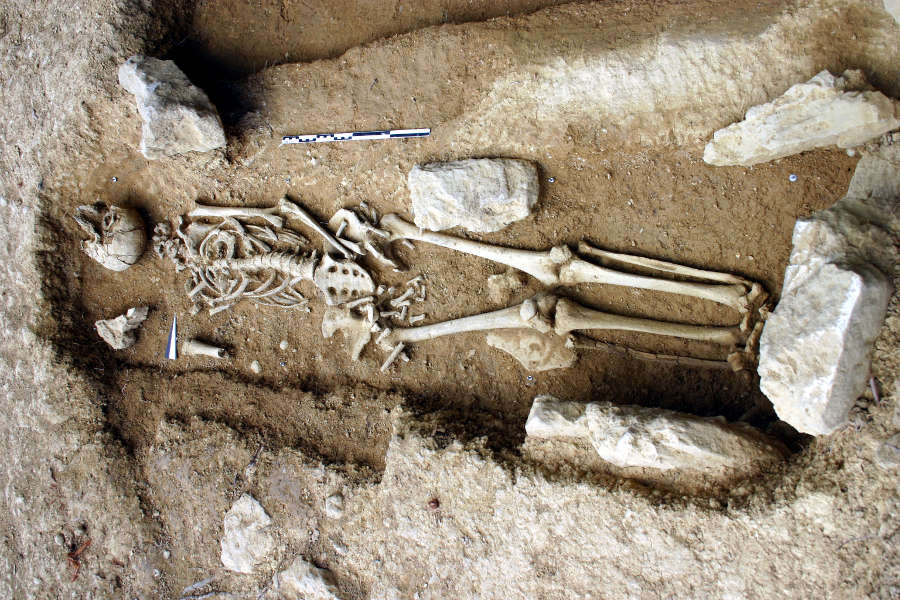 Nécropole mérovingienne de Tabariane en cours de fouille