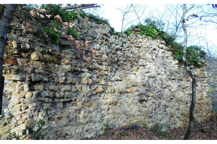 Vestiges de l'glise de Giffre