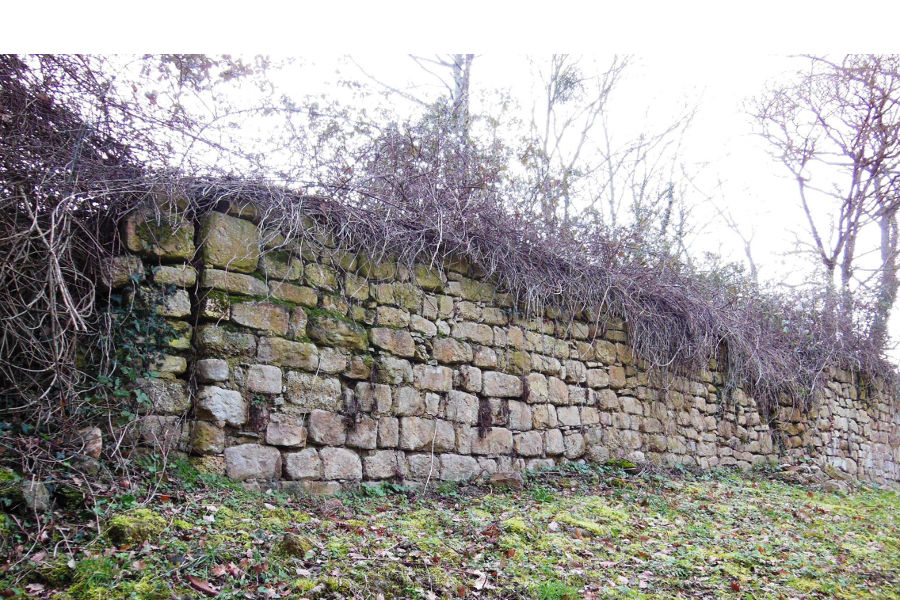 Vestiges de l'glise de Saint-Martin de Tapia