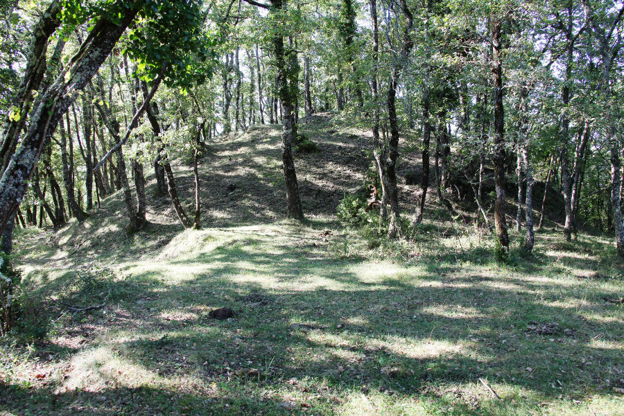 Motte castrale, Saint-Blaise